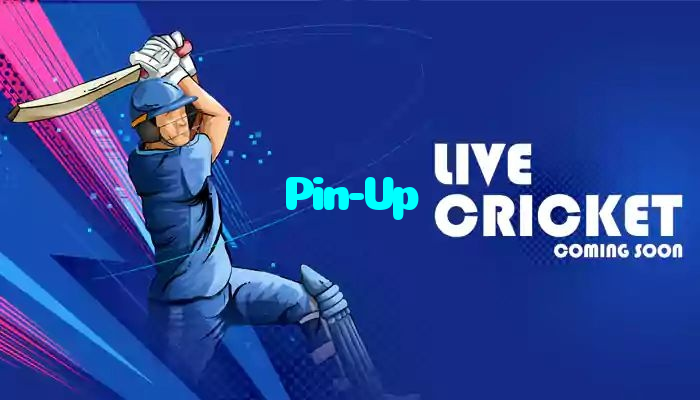 making first deposit on Pin-Up website using local payment methods in Pakistan